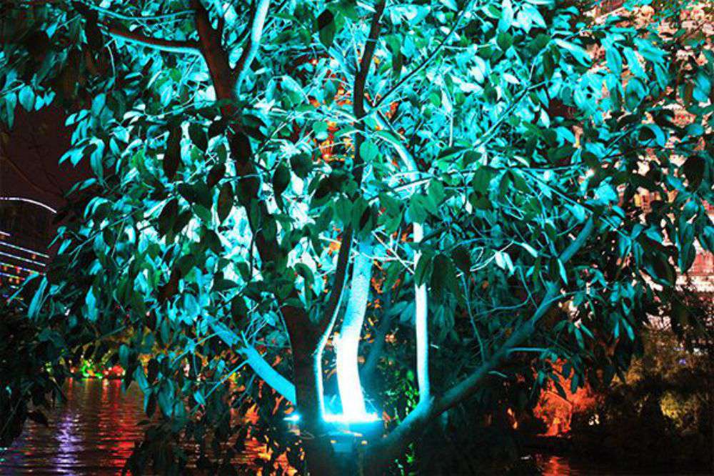 ������ʱ�������ǲ�������RGBͶ������ں��ھ���������Ŀ