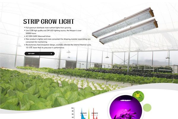 ��5����Ҫ���ػ�Ӱ��LED�Ƶ�ʹ������